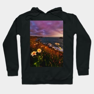 Southbound Hoodie